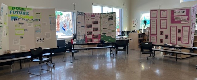 Science Fair