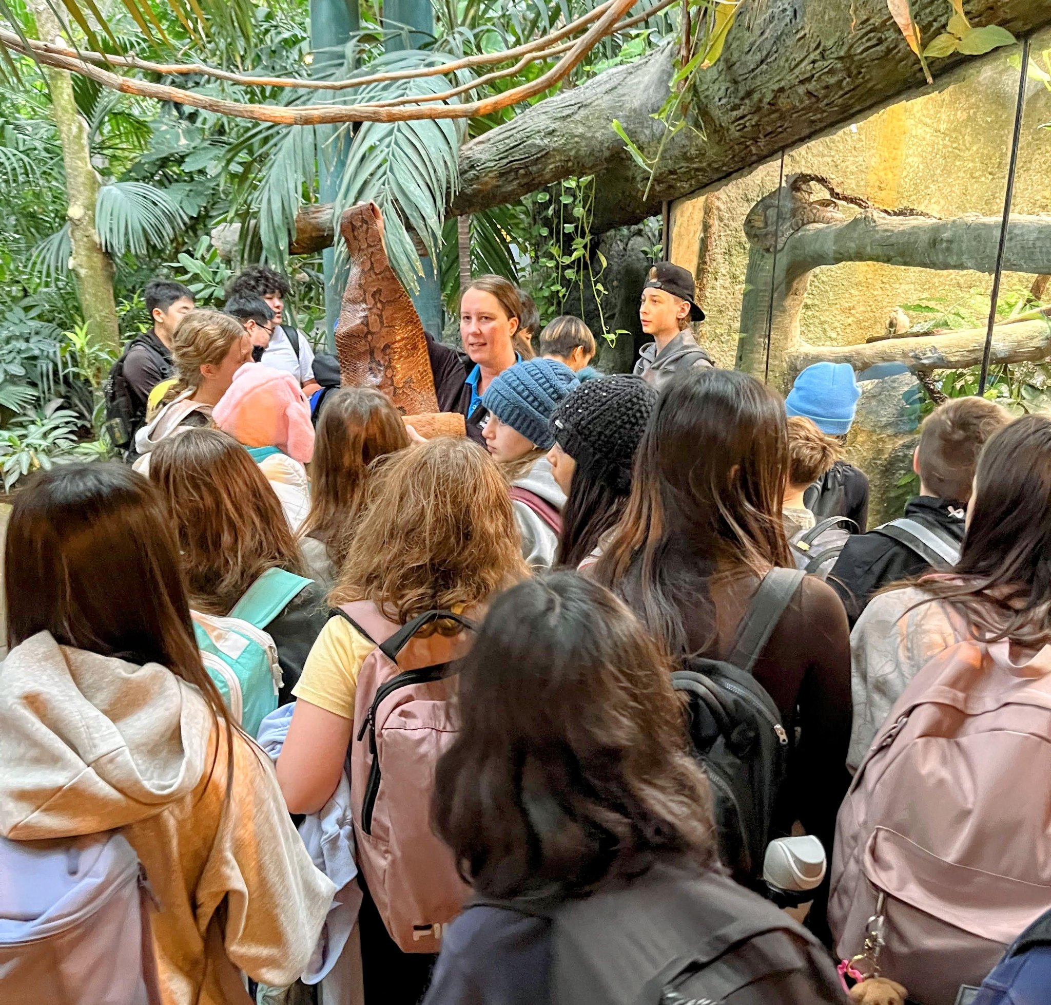 Week of December 1 - Conferences, Staffing Updates, Toy Mountain ...