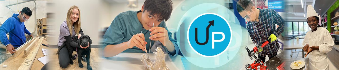 Unique Pathways Page Banner